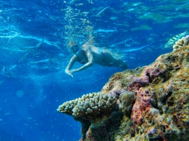 experiente de neratat in Maldive snorkeling
